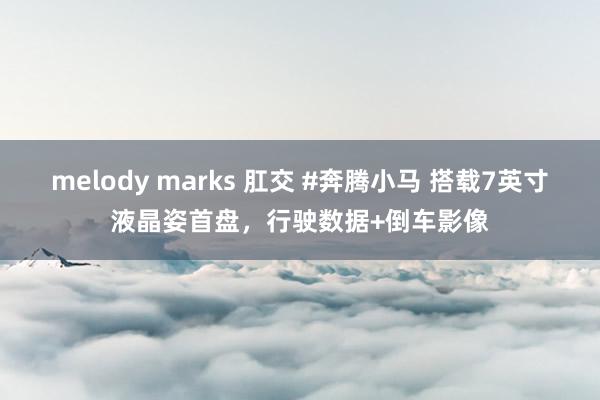 melody marks 肛交 #奔腾小马 搭载7英寸液晶姿首盘，行驶数据+倒车影像