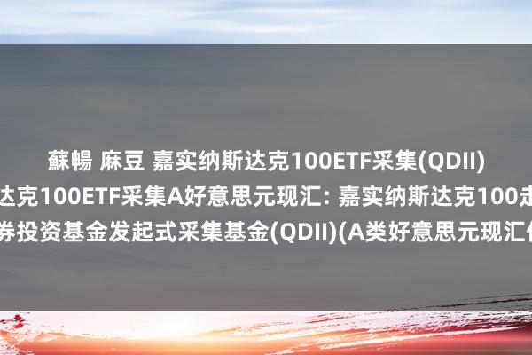 蘇暢 麻豆 嘉实纳斯达克100ETF采集(QDII)A东说念主民币,嘉实纳斯达克100ETF采集A好意思元现汇: 嘉实纳斯达克100走动型怒放式指数证券投资基金发起式采集基金(QDII)(A类好意思元现汇份额)基金产物贵府选录更新(2024年10月30日)