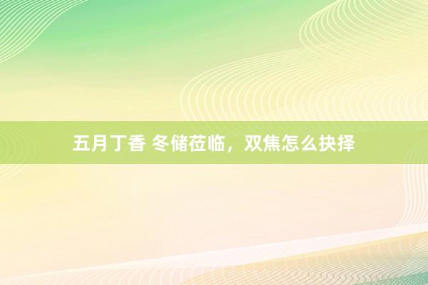 五月丁香 冬储莅临，双焦怎么抉择
