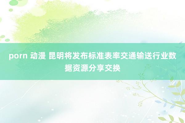porn 动漫 昆明将发布标准表率交通输送行业数据资源分享交换