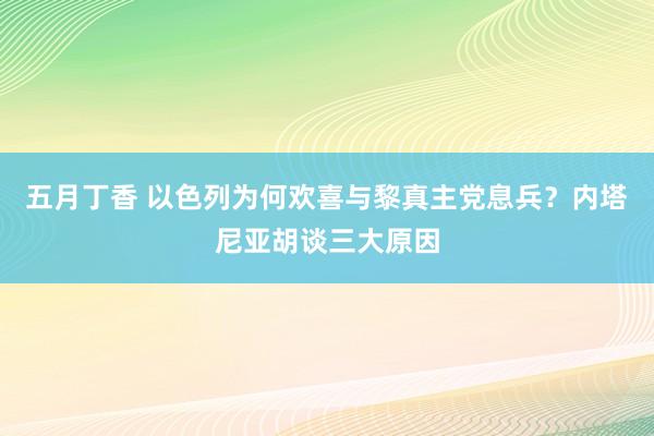 五月丁香 以色列为何欢喜与黎真主党息兵？内塔尼亚胡谈三大原因