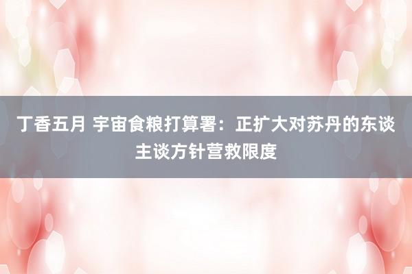 丁香五月 宇宙食粮打算署：正扩大对苏丹的东谈主谈方针营救限度