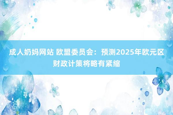 成人奶妈网站 欧盟委员会：预测2025年欧元区财政计策将略有紧缩