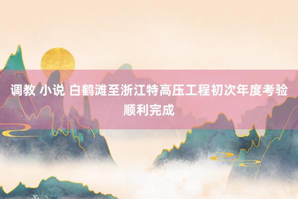 调教 小说 白鹤滩至浙江特高压工程初次年度考验顺利完成
