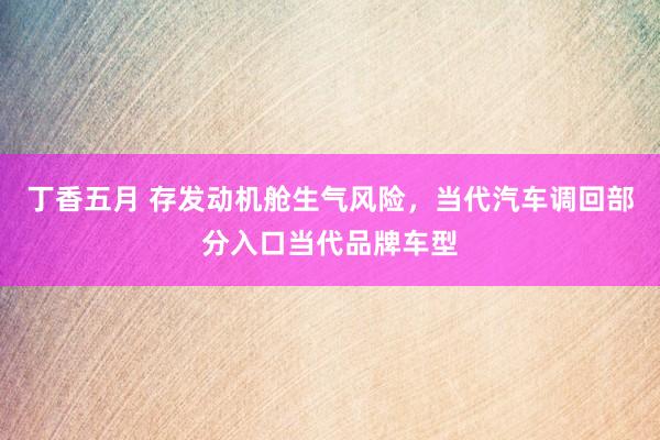 丁香五月 存发动机舱生气风险，当代汽车调回部分入口当代品牌车型