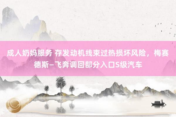 成人奶妈服务 存发动机线束过热损坏风险，梅赛德斯—飞奔调回部分入口S级汽车