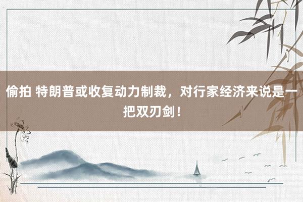 偷拍 特朗普或收复动力制裁，对行家经济来说是一把双刃剑！