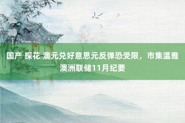 国产 探花 澳元兑好意思元反弹恐受限，市集温雅澳洲联储11月纪要