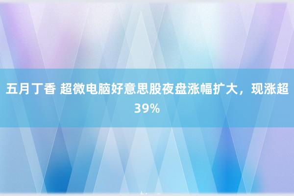 五月丁香 超微电脑好意思股夜盘涨幅扩大，现涨超39%