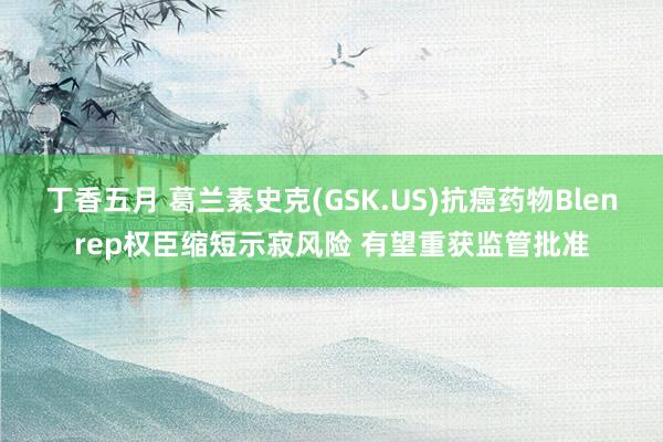 丁香五月 葛兰素史克(GSK.US)抗癌药物Blenrep权臣缩短示寂风险 有望重获监管批准