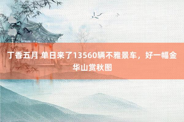 丁香五月 单日来了13560辆不雅景车，好一幅金华山赏秋图