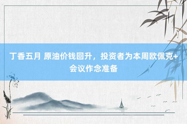 丁香五月 原油价钱回升，投资者为本周欧佩克+会议作念准备