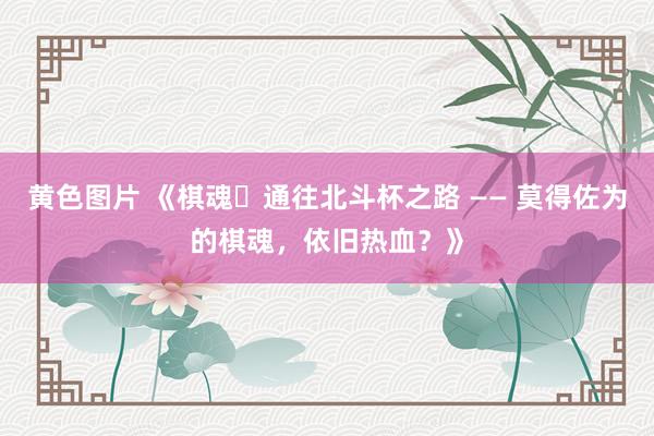 黄色图片 《棋魂・通往北斗杯之路 —— 莫得佐为的棋魂，依旧热血？》
