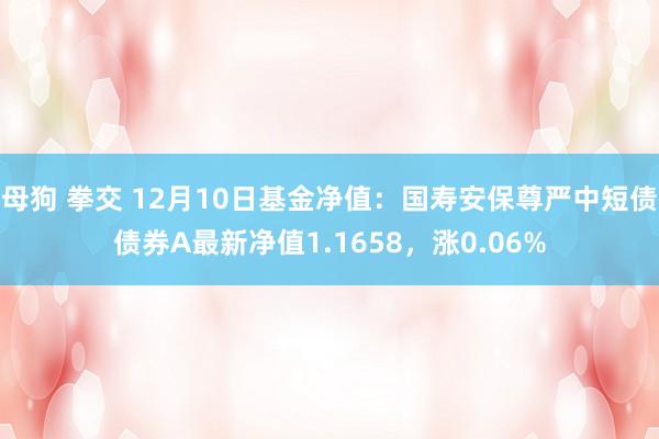 母狗 拳交 12月10日基金净值：国寿安保尊严中短债债券A最新净值1.1658，涨0.06%