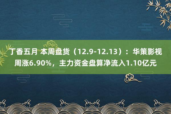 丁香五月 本周盘货（12.9-12.13）：华策影视周涨6.90%，主力资金盘算净流入1.10亿元