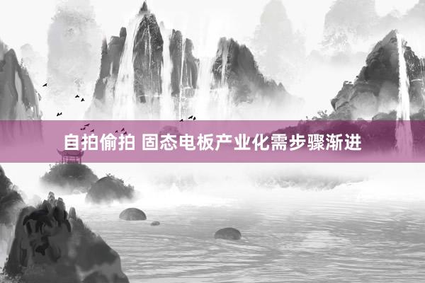 自拍偷拍 固态电板产业化需步骤渐进