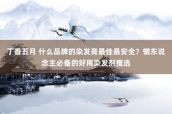 丁香五月 什么品牌的染发膏最佳最安全？懒东说念主必备的好用染发剂推选