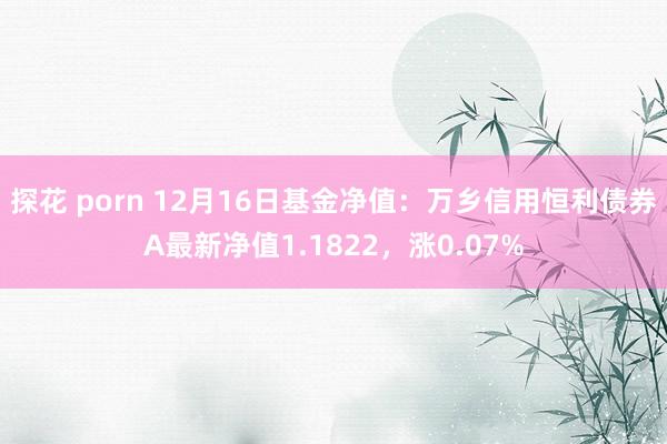 探花 porn 12月16日基金净值：万乡信用恒利债券A最新净值1.1822，涨0.07%