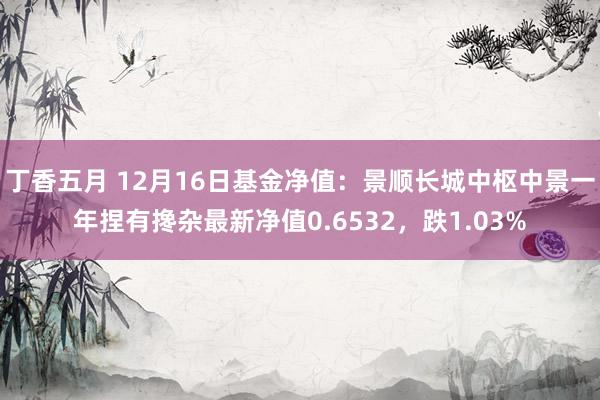 丁香五月 12月16日基金净值：景顺长城中枢中景一年捏有搀杂最新净值0.6532，跌1.03%