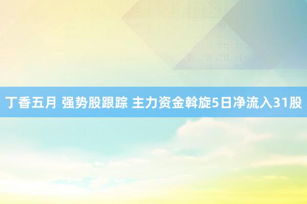 丁香五月 强势股跟踪 主力资金斡旋5日净流入31股