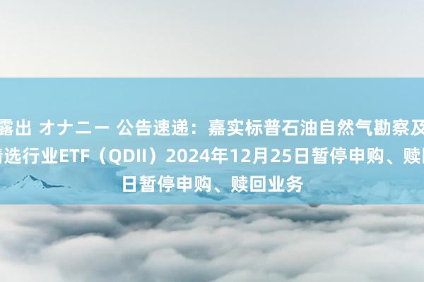 露出 オナニー 公告速递：嘉实标普石油自然气勘察及坐褥精选行业ETF（QDII）2024年12月25日暂停申购、赎回业务