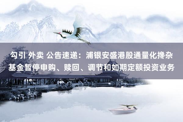 勾引 外卖 公告速递：浦银安盛港股通量化搀杂基金暂停申购、赎回、调节和如期定额投资业务