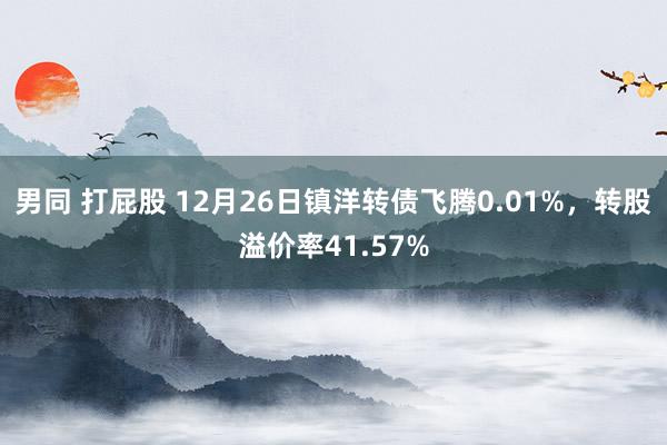 男同 打屁股 12月26日镇洋转债飞腾0.01%，转股溢价率41.57%