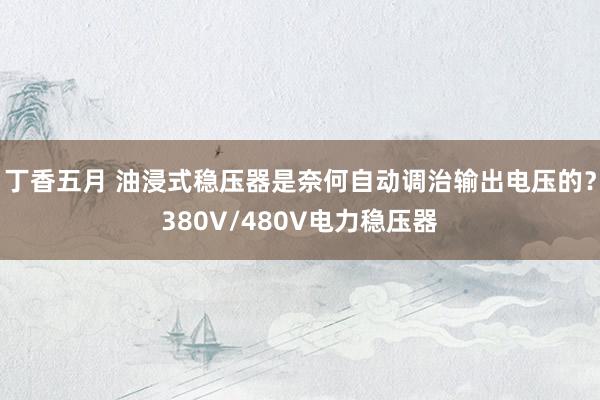 丁香五月 油浸式稳压器是奈何自动调治输出电压的？380V/480V电力稳压器