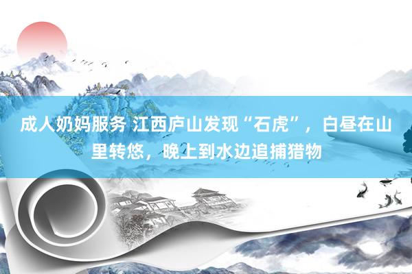 成人奶妈服务 江西庐山发现“石虎”，白昼在山里转悠，晚上到水边追捕猎物