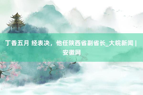 丁香五月 经表决，他任陕西省副省长_大皖新闻 | 安徽网