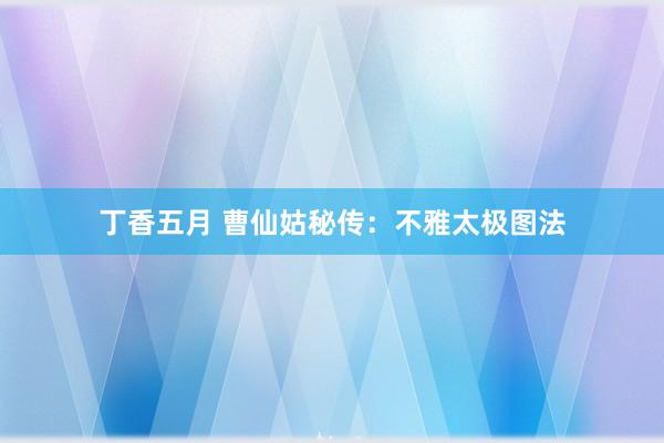 丁香五月 曹仙姑秘传：不雅太极图法