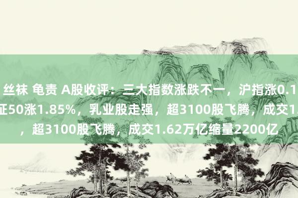 丝袜 龟责 A股收评：三大指数涨跌不一，沪指涨0.19%创指跌0.52%北证50涨1.85%，乳业股走强，超3100股飞腾，成交1.62万亿缩量2200亿