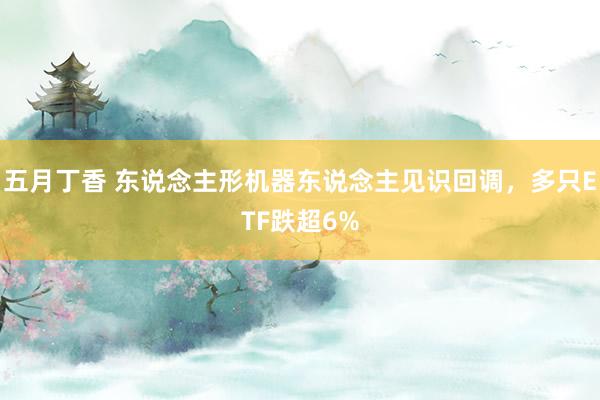 五月丁香 东说念主形机器东说念主见识回调，多只ETF跌超6%