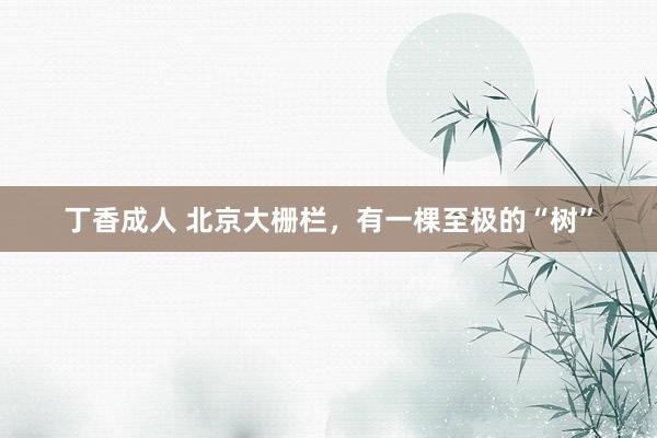 丁香成人 北京大栅栏，有一棵至极的“树”