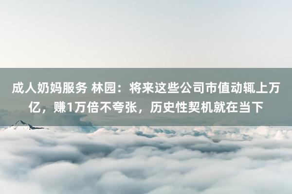 成人奶妈服务 林园：将来这些公司市值动辄上万亿，赚1万倍不夸张，历史性契机就在当下