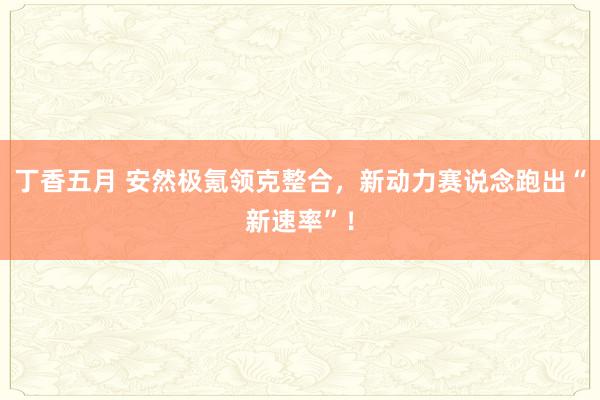 丁香五月 安然极氪领克整合，新动力赛说念跑出“新速率”！