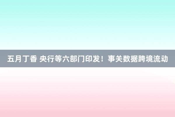 五月丁香 央行等六部门印发！事关数据跨境流动