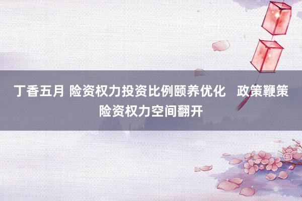 丁香五月 险资权力投资比例颐养优化   政策鞭策险资权力空间翻开