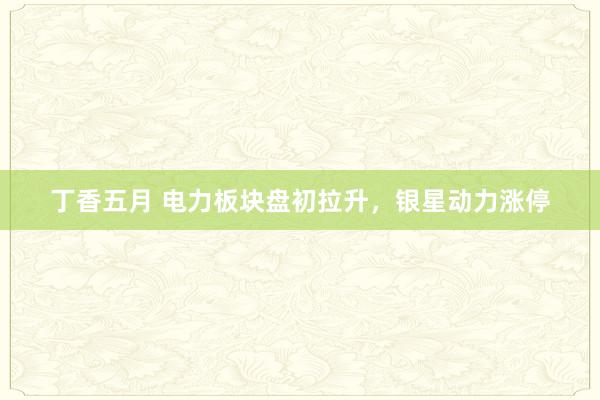 丁香五月 电力板块盘初拉升，银星动力涨停