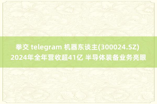 拳交 telegram 机器东谈主(300024.SZ) 2024年全年营收超41亿 半导体装备业务亮眼