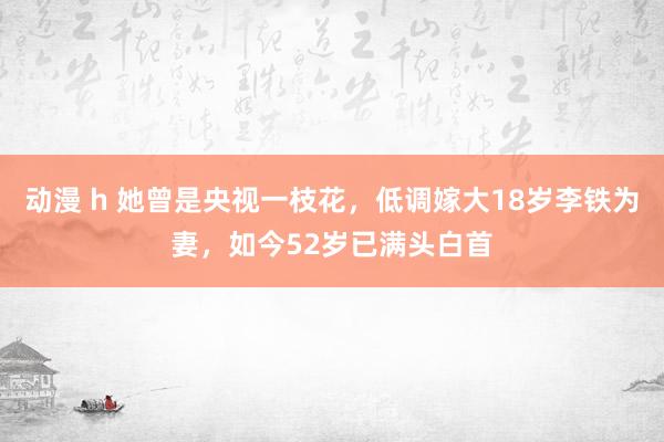 动漫 h 她曾是央视一枝花，低调嫁大18岁李铁为妻，如今52岁已满头白首