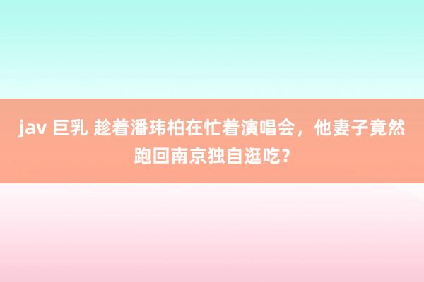 jav 巨乳 趁着潘玮柏在忙着演唱会，他妻子竟然跑回南京独自逛吃？